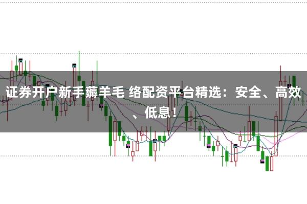 证券开户新手薅羊毛 络配资平台精选：安全、高效、低息！