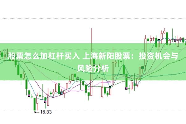 股票怎么加杠杆买入 上海新阳股票：投资机会与风险分析