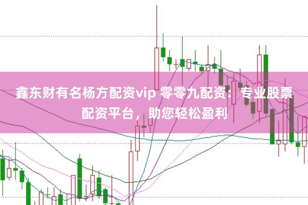 鑫东财有名杨方配资vip 零零九配资：专业股票配资平台，助您轻松盈利