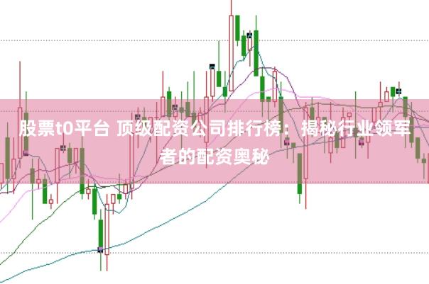 股票t0平台 顶级配资公司排行榜：揭秘行业领军者的配资奥秘