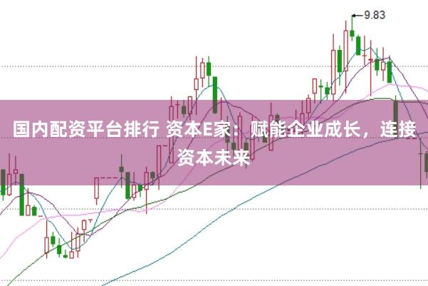 国内配资平台排行 资本E家：赋能企业成长，连接资本未来