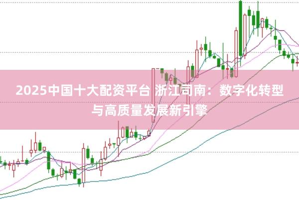2025中国十大配资平台 浙江司南：数字化转型与高质量发展新引擎
