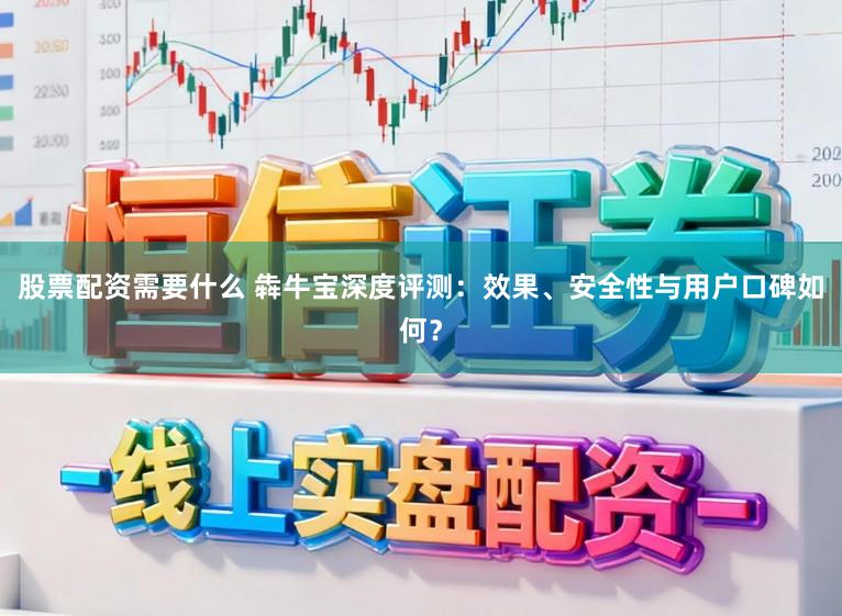 股票配资需要什么 犇牛宝深度评测：效果、安全性与用户口碑如何？