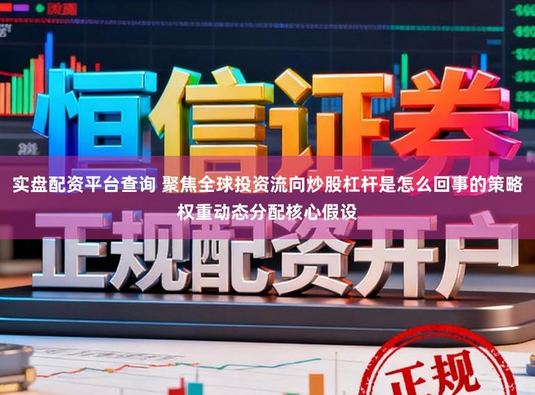 实盘配资平台查询 聚焦全球投资流向炒股杠杆是怎么回事的策略权重动态分配核心假设