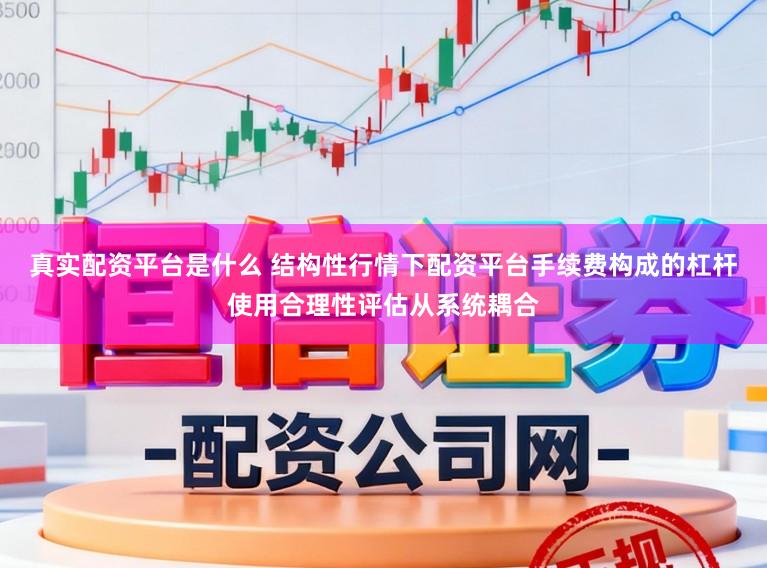 真实配资平台是什么 结构性行情下配资平台手续费构成的杠杆使用合理性评估从系统耦合