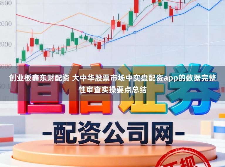 创业板鑫东财配资 大中华股票市场中实盘配资app的数据完整性审查实操要点总结